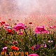 http://page.zigum.work/data/editor/2508/thumb-3bb9c44514fd9a06f9e272613f3b30a5_1753976724_2376_80x80.jpg